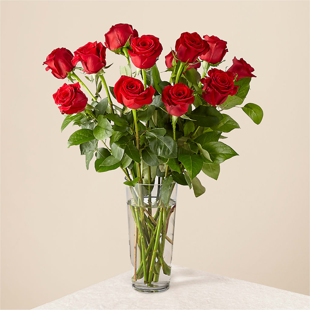 Long Stem Red Rose Bouquet – The Surprise Bouquet, Lawrenceburg TN
