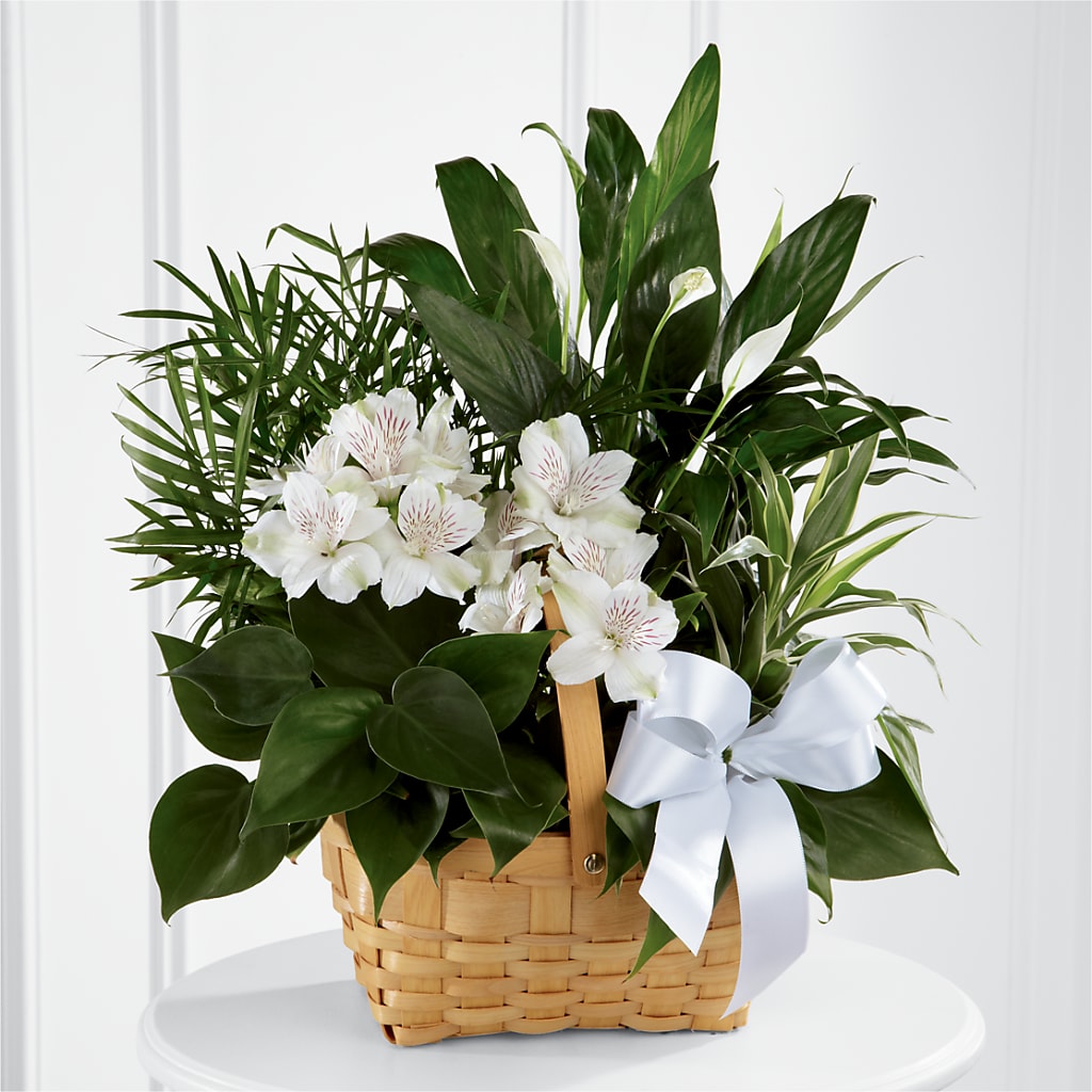 Peace & Serenity Dishgarden – The Surprise Bouquet, Lawrenceburg TN