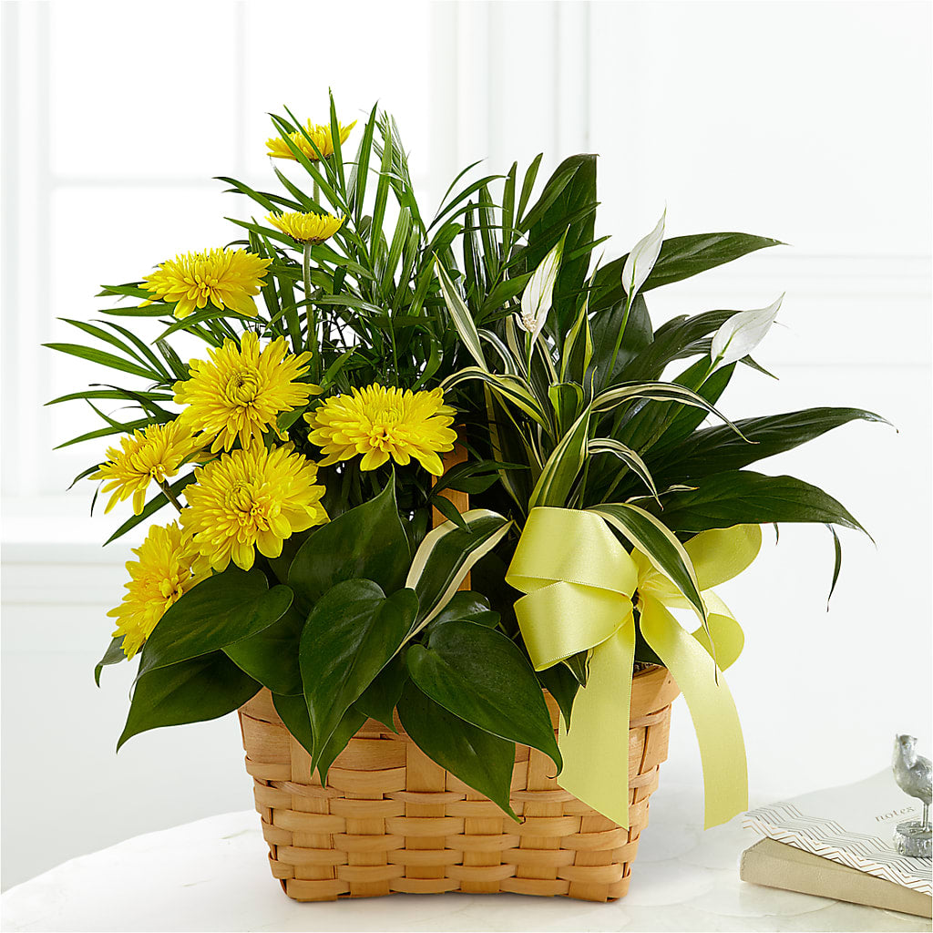 Loving Light Dishgarden – The Surprise Bouquet, Lawrenceburg TN