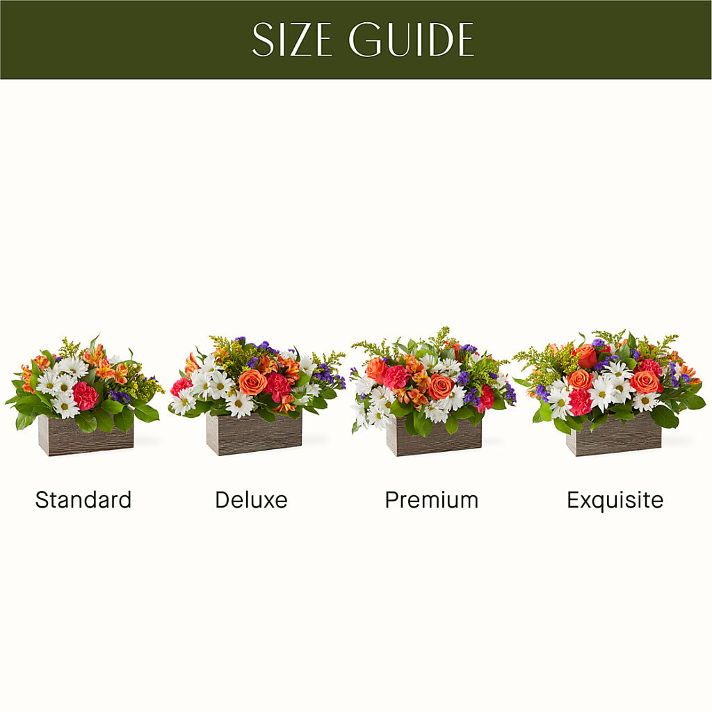 Oopsie Daisy Box Bouquet – The Surprise Bouquet, Lawrenceburg TN