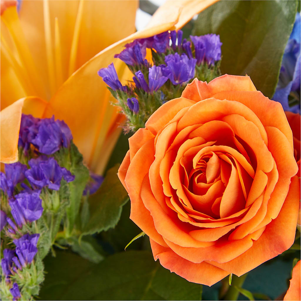 Radiant Citrus Box Bouquet – The Surprise Bouquet, Lawrenceburg TN