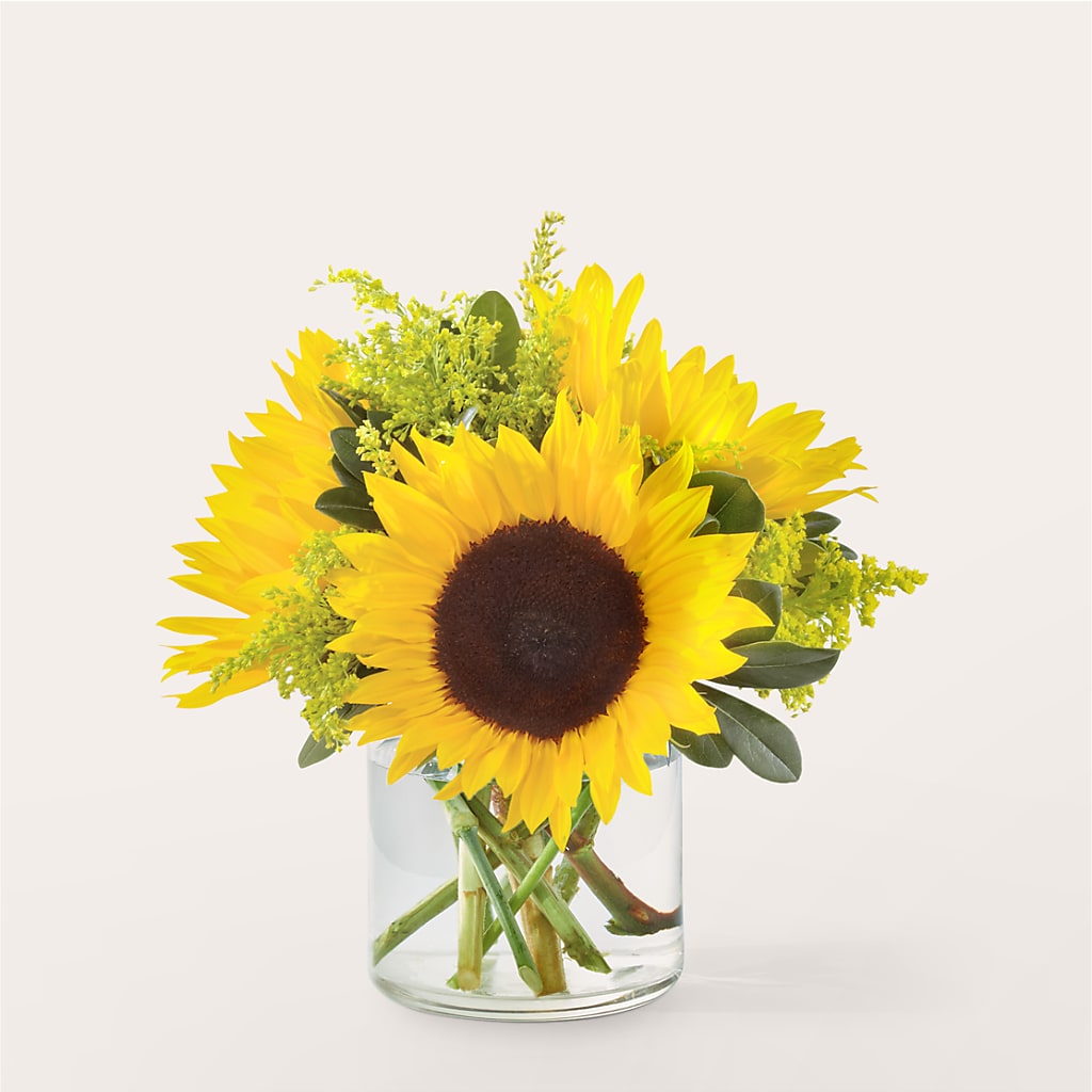 Beaming Sunflower Bouquet – The Surprise Bouquet, Lawrenceburg TN