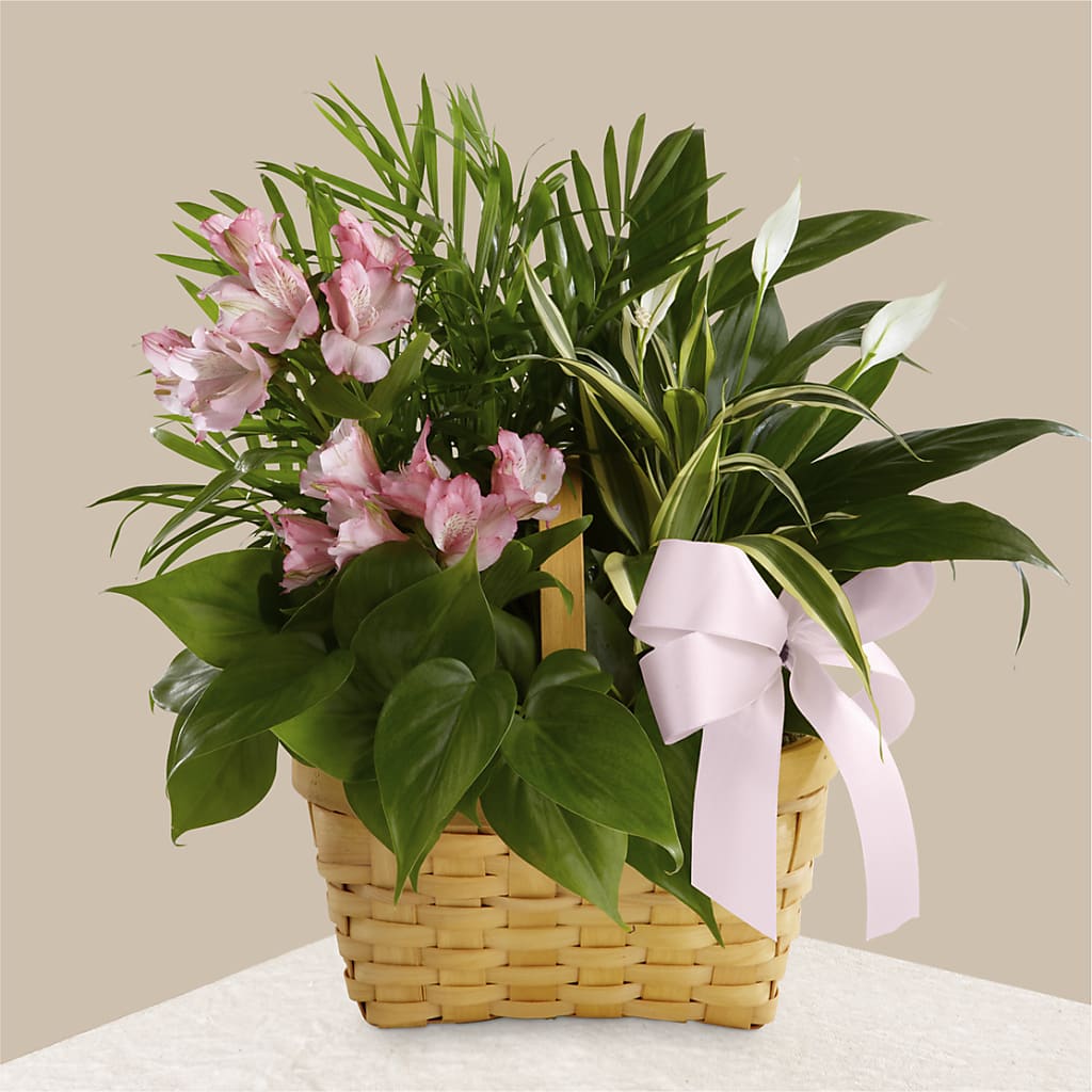 Living Spirit Dishgarden – The Surprise Bouquet, Lawrenceburg TN