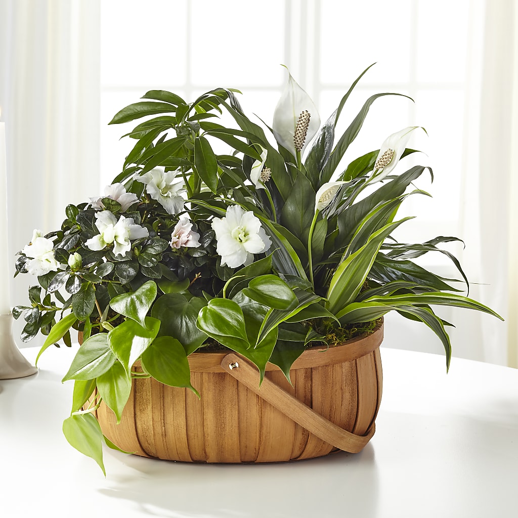 Serene Dishgarden – The Surprise Bouquet, Lawrenceburg TN