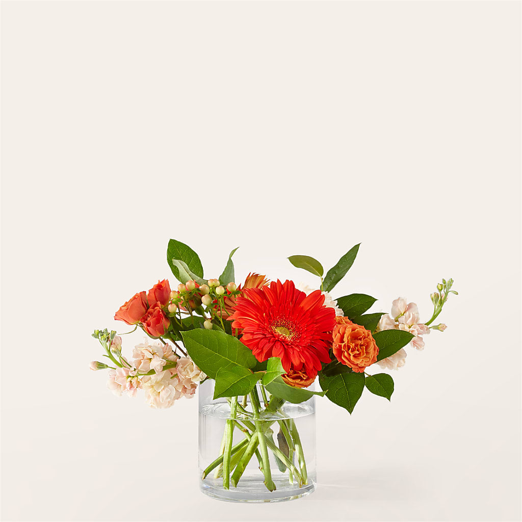Paloma Please Bouquet – The Surprise Bouquet, Lawrenceburg TN