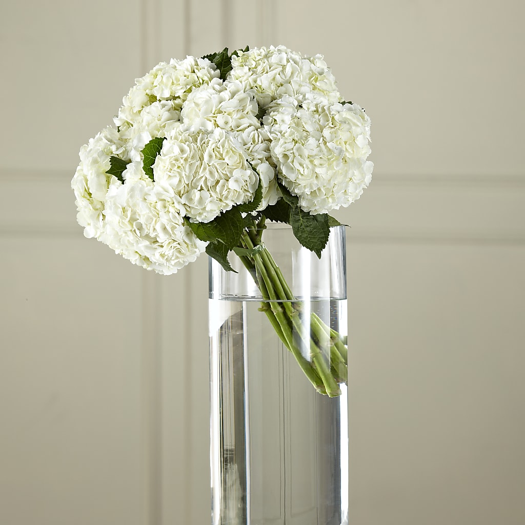 White Hydrangea Hand-Tied Bouquet – The Surprise Bouquet, Lawrenceburg TN