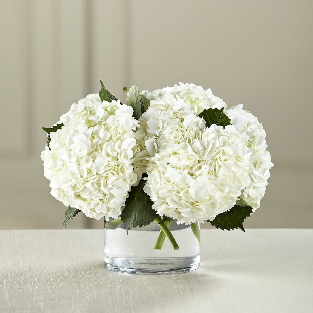 White Hydrangea Bouquet – The Surprise Bouquet, Lawrenceburg TN