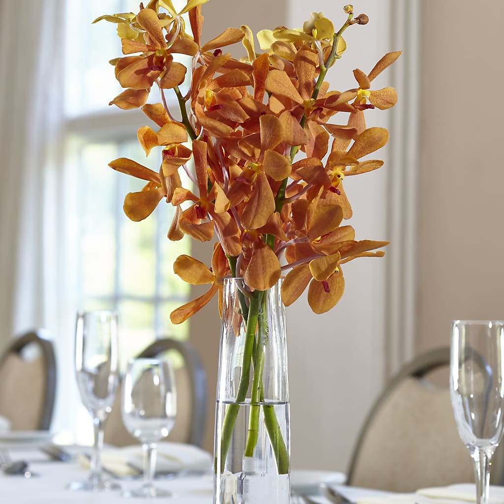 Orange Mokara Bud Vase – The Surprise Bouquet, Lawrenceburg TN