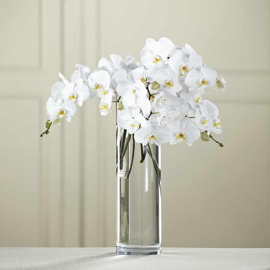 White Phalaenopsis Bouquet – The Surprise Bouquet, Lawrenceburg TN