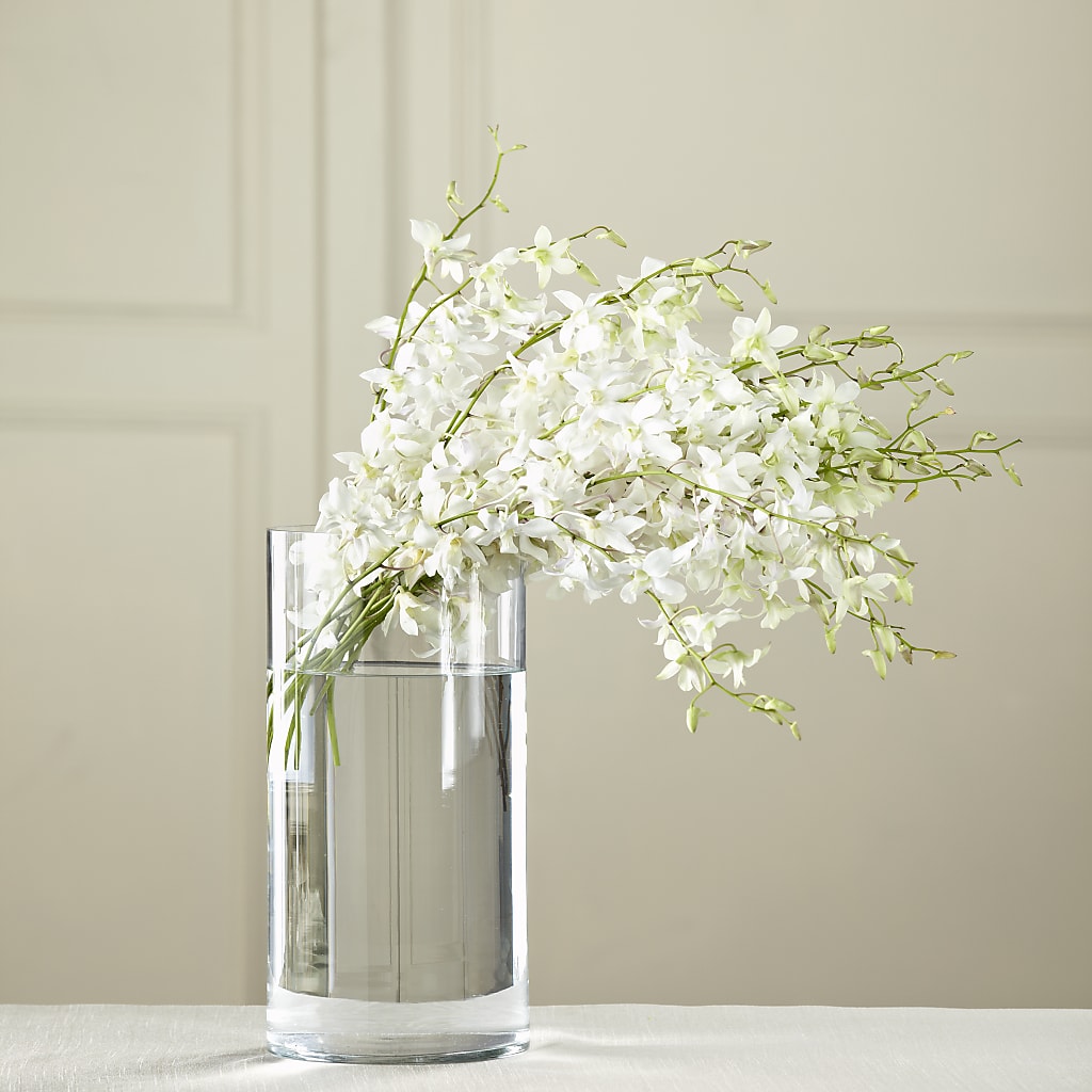 White Dendrobium Bouquet – The Surprise Bouquet, Lawrenceburg TN