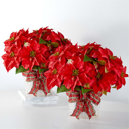 Happiest Holidays Poinsettia Bundle –  The Surprise Bouquet, Lawrenceburg TN