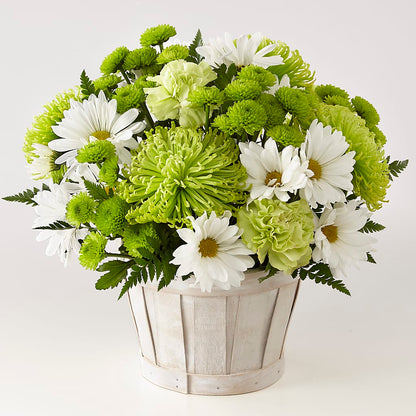 Lucky Charm Basket (Standard) –  The Surprise Bouquet, Lawrenceburg TN