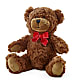 Adorable Plush Bear –  The Surprise Bouquet, Lawrenceburg TN