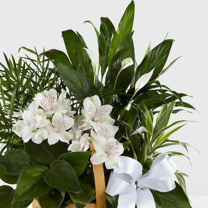 Peace & Serenity Dishgarden –  The Surprise Bouquet, Lawrenceburg TN