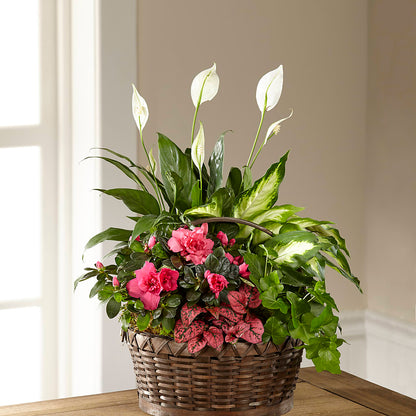 Dream in Pink Dishgarden –  The Surprise Bouquet, Lawrenceburg TN