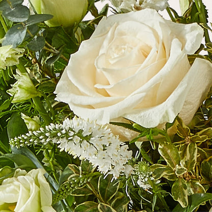 Cashmere Bouquet –  The Surprise Bouquet, Lawrenceburg TN