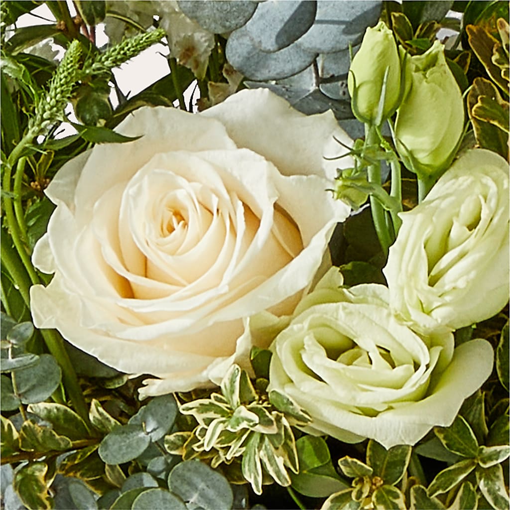 Cashmere Bouquet –  The Surprise Bouquet, Lawrenceburg TN