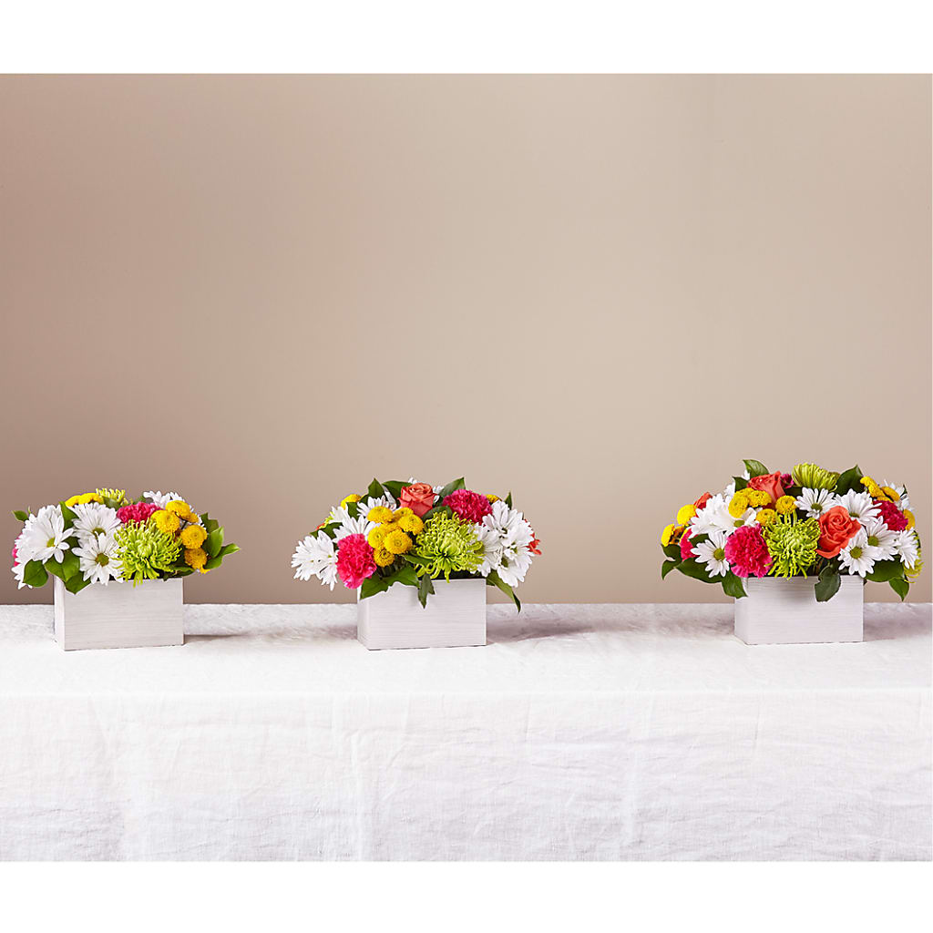 Sorbet Bouquet –  The Surprise Bouquet, Lawrenceburg TN
