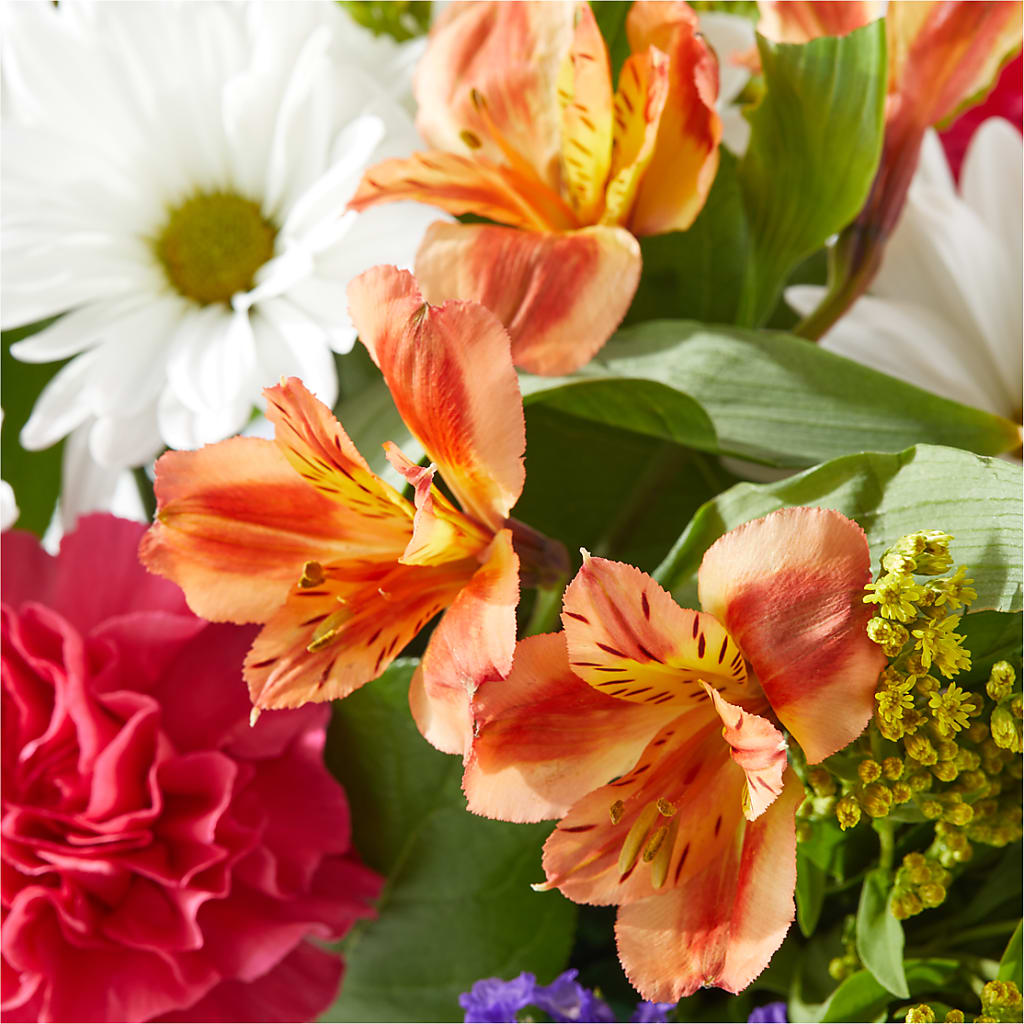 Oopsie Daisy Box Bouquet –  The Surprise Bouquet, Lawrenceburg TN