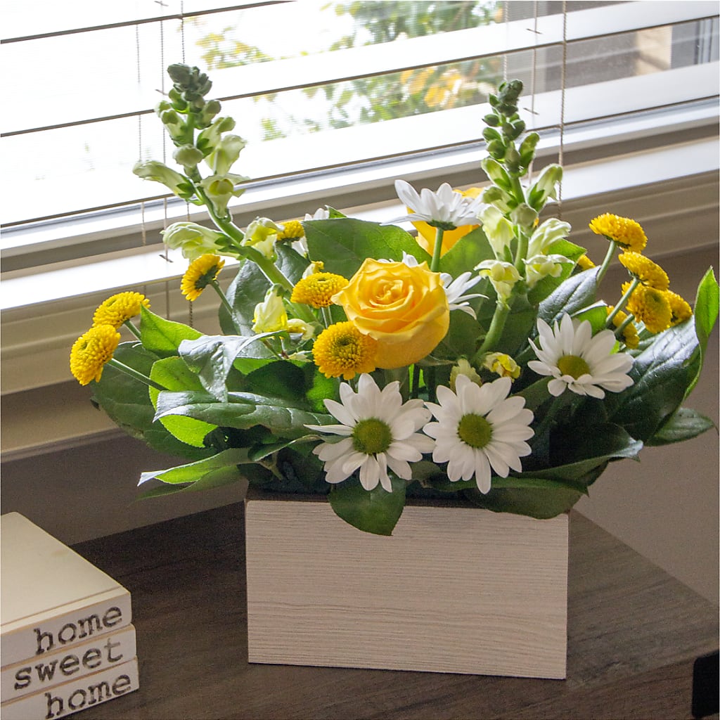 Sun Salutation Box Bouquet –  The Surprise Bouquet, Lawrenceburg TN