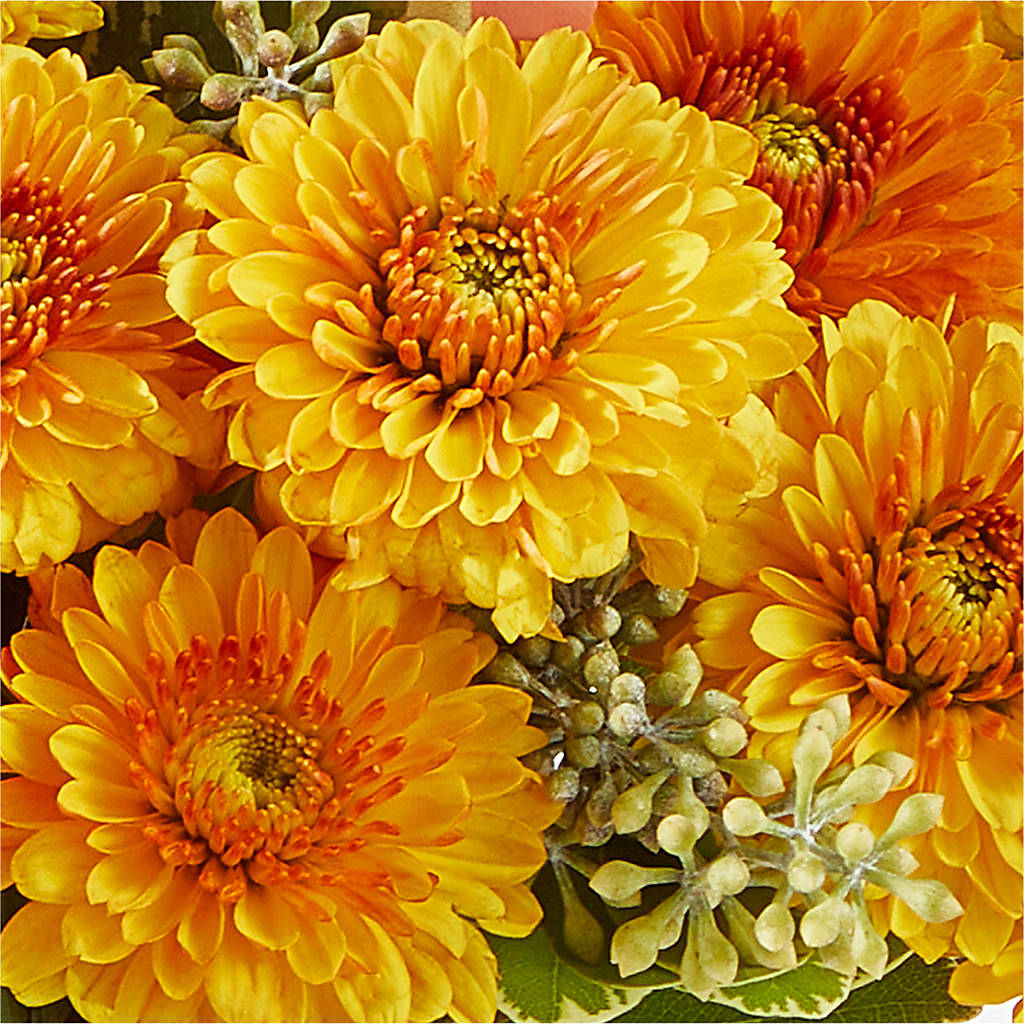 Peachy Pumpkin –  The Surprise Bouquet, Lawrenceburg TN