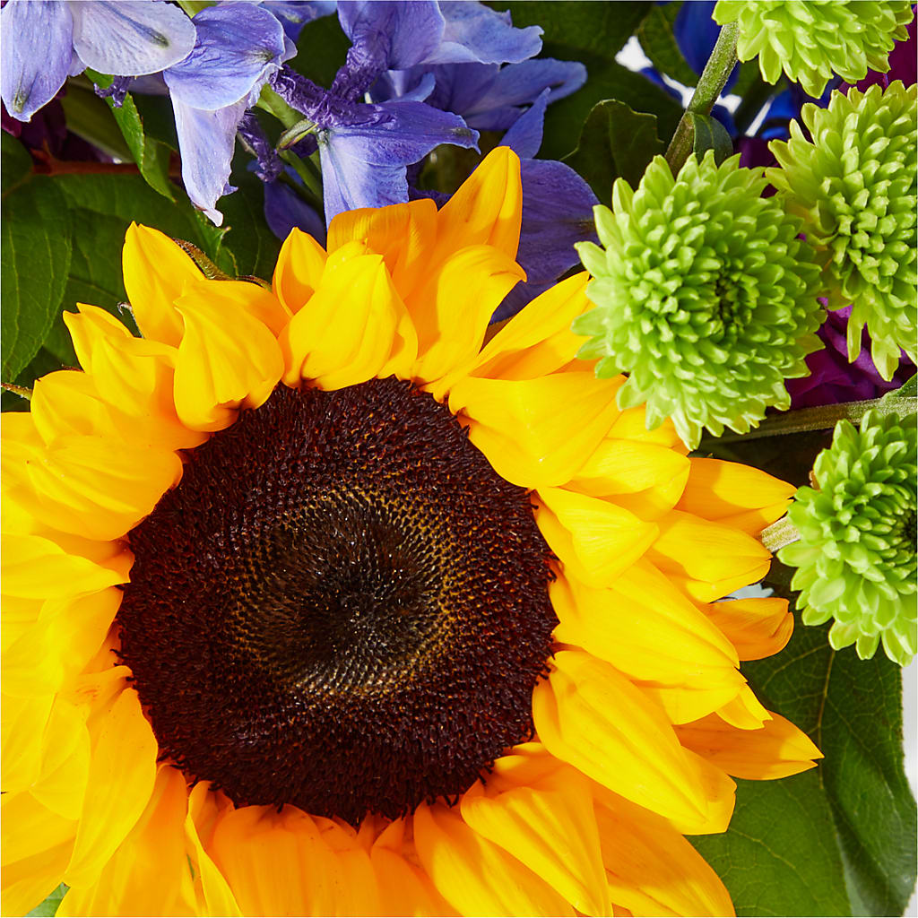 Catching Rays Bouquet –  The Surprise Bouquet, Lawrenceburg TN