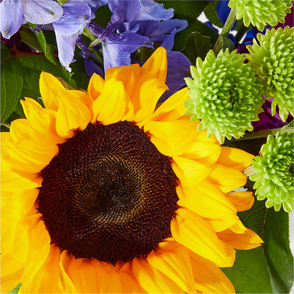 Catching Rays Bouquet –  The Surprise Bouquet, Lawrenceburg TN