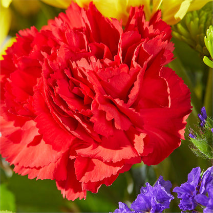 Brighter Days Bouquet –  The Surprise Bouquet, Lawrenceburg TN