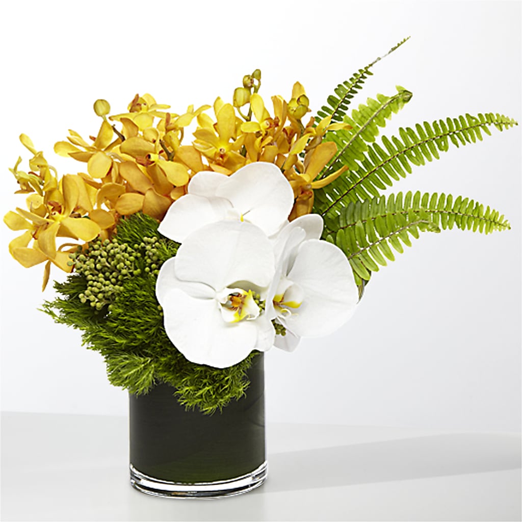 The Tropics –  The Surprise Bouquet, Lawrenceburg TN
