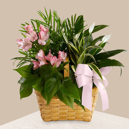 Living Spirit Dishgarden –  The Surprise Bouquet, Lawrenceburg TN