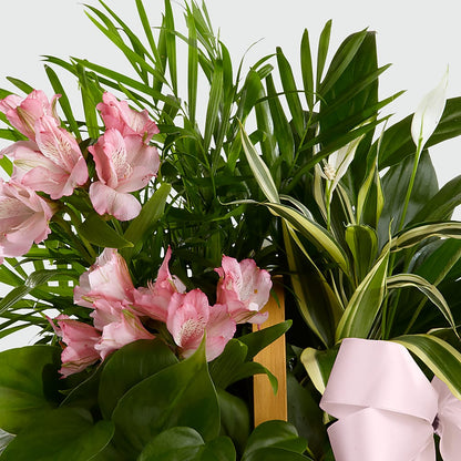 Living Spirit Dishgarden –  The Surprise Bouquet, Lawrenceburg TN