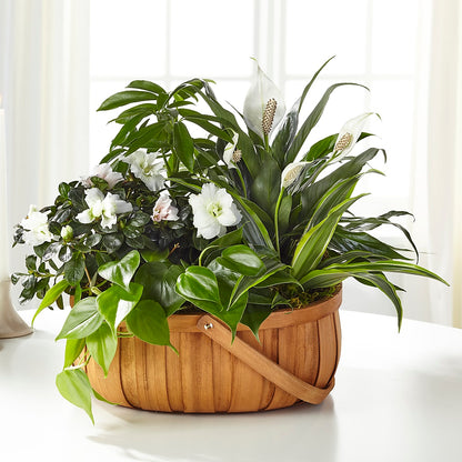 Serene Dishgarden –  The Surprise Bouquet, Lawrenceburg TN