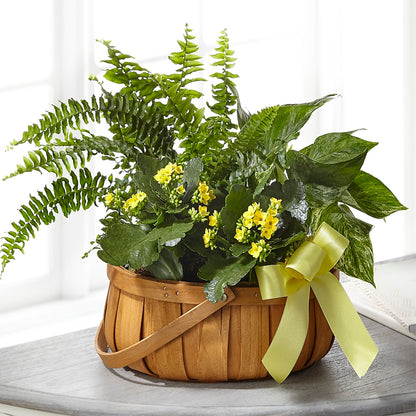 Always Dear Dishgarden –  The Surprise Bouquet, Lawrenceburg TN