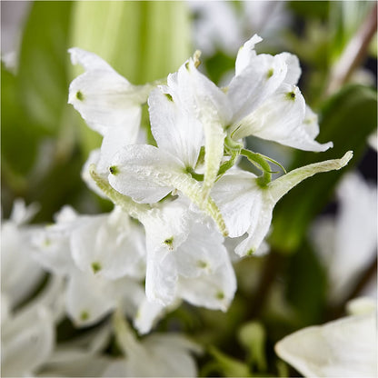 Classic Ivory – A Florist Original –  The Surprise Bouquet, Lawrenceburg TN