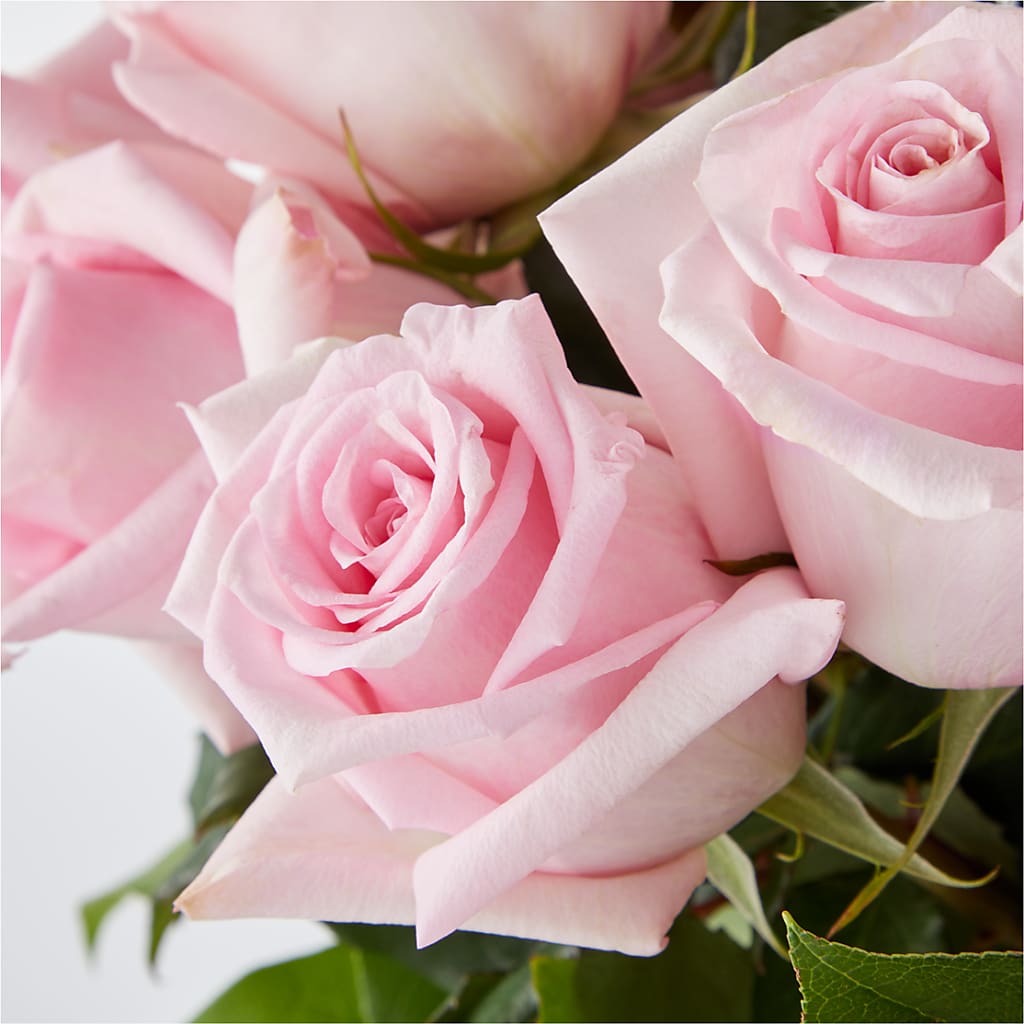 Picture Perfect Pink Rose Bouquet –  The Surprise Bouquet, Lawrenceburg TN