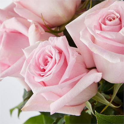 Picture Perfect Pink Rose Bouquet –  The Surprise Bouquet, Lawrenceburg TN