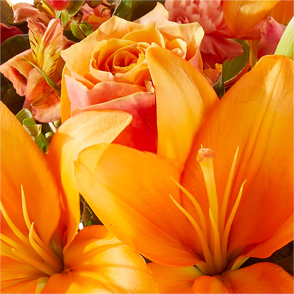 Afternoon Light Bouquet –  The Surprise Bouquet, Lawrenceburg TN