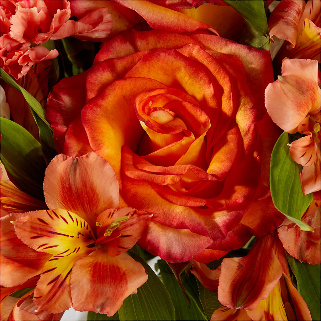 Apricot Glow Bouquet –  The Surprise Bouquet, Lawrenceburg TN