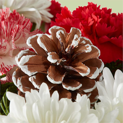 Candy Cane Lane Bouquet –  The Surprise Bouquet, Lawrenceburg TN