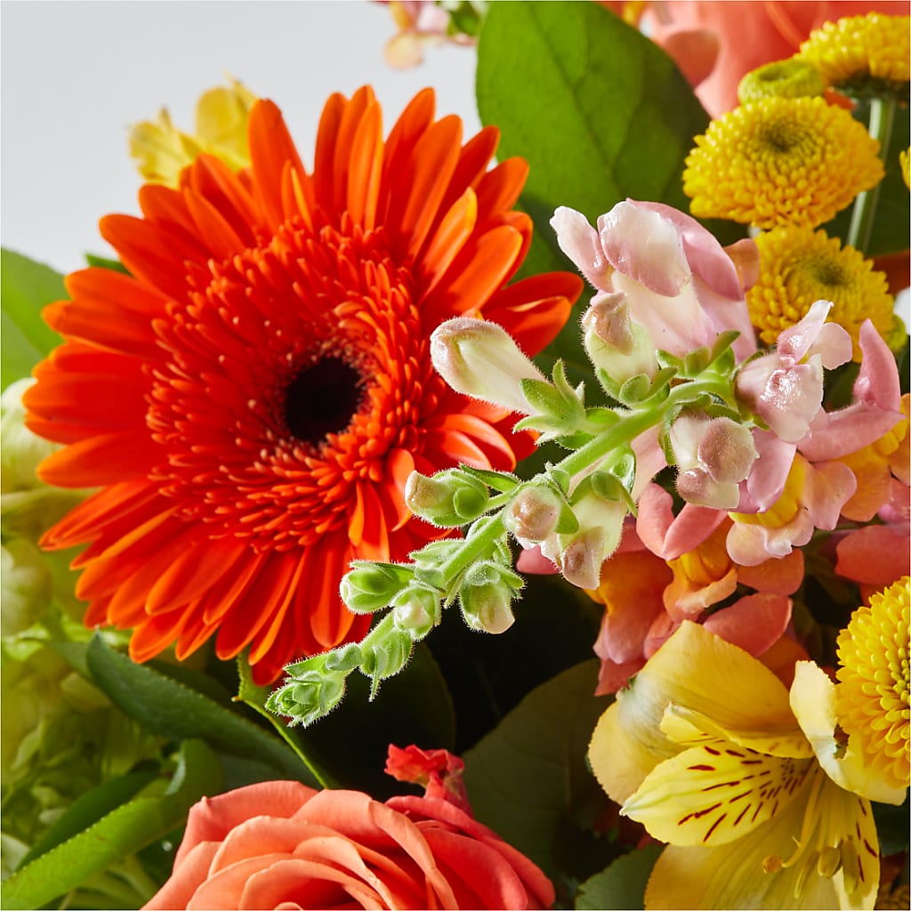 Autumn Sunshine Bouquet –  The Surprise Bouquet, Lawrenceburg TN
