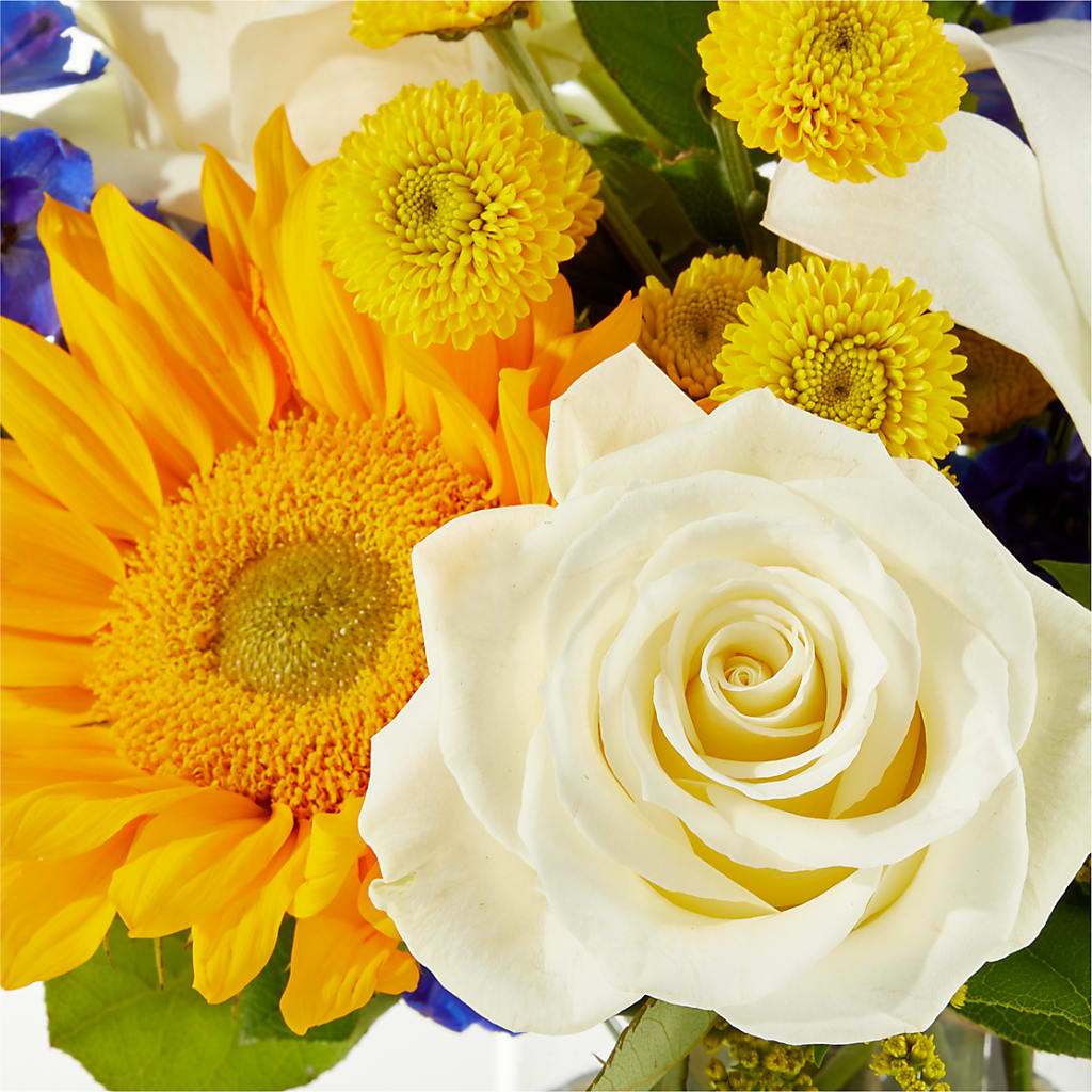 Stargazing Bouquet –  The Surprise Bouquet, Lawrenceburg TN