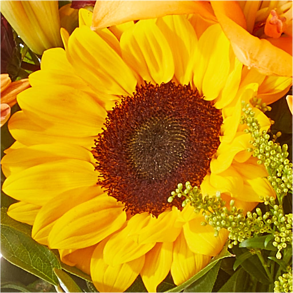 Seasons Change Bouquet –  The Surprise Bouquet, Lawrenceburg TN