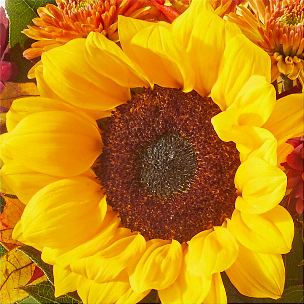 Sunny Side Bouquet –  The Surprise Bouquet, Lawrenceburg TN