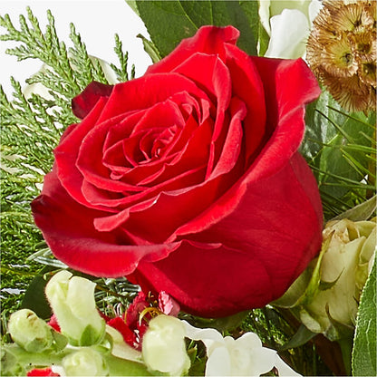 Deck the Halls Bouquet –  The Surprise Bouquet, Lawrenceburg TN