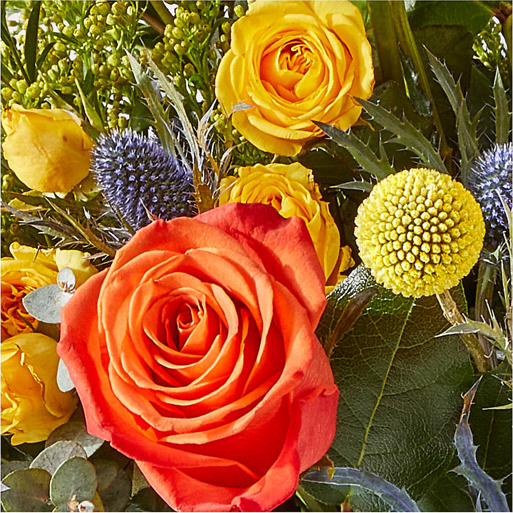 Disco Bouquet –  The Surprise Bouquet, Lawrenceburg TN