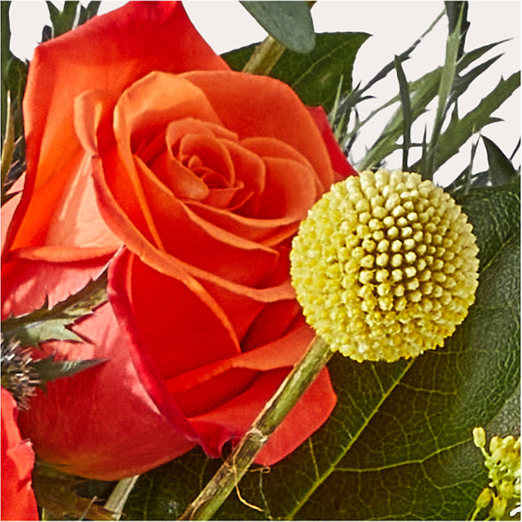 Disco Bouquet –  The Surprise Bouquet, Lawrenceburg TN