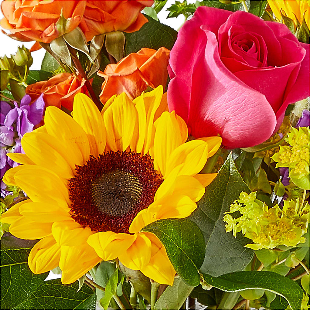 Vibrant Greetings Bouquet –  The Surprise Bouquet, Lawrenceburg TN