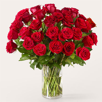 The One Red Rose Bouquet –  The Surprise Bouquet, Lawrenceburg TN