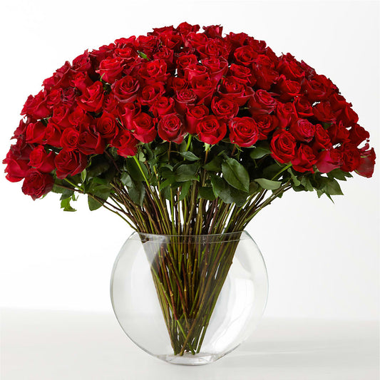 The Idealist –  The Surprise Bouquet, Lawrenceburg TN