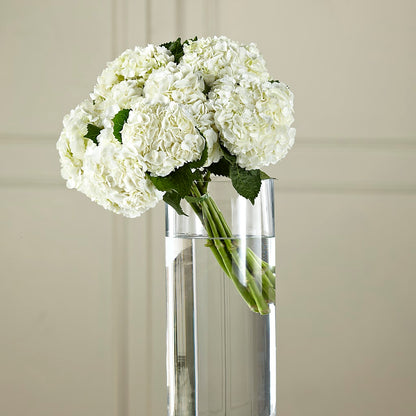 White Hydrangea Hand-Tied Bouquet –  The Surprise Bouquet, Lawrenceburg TN